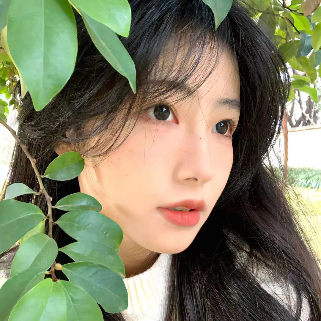 以规则之名
